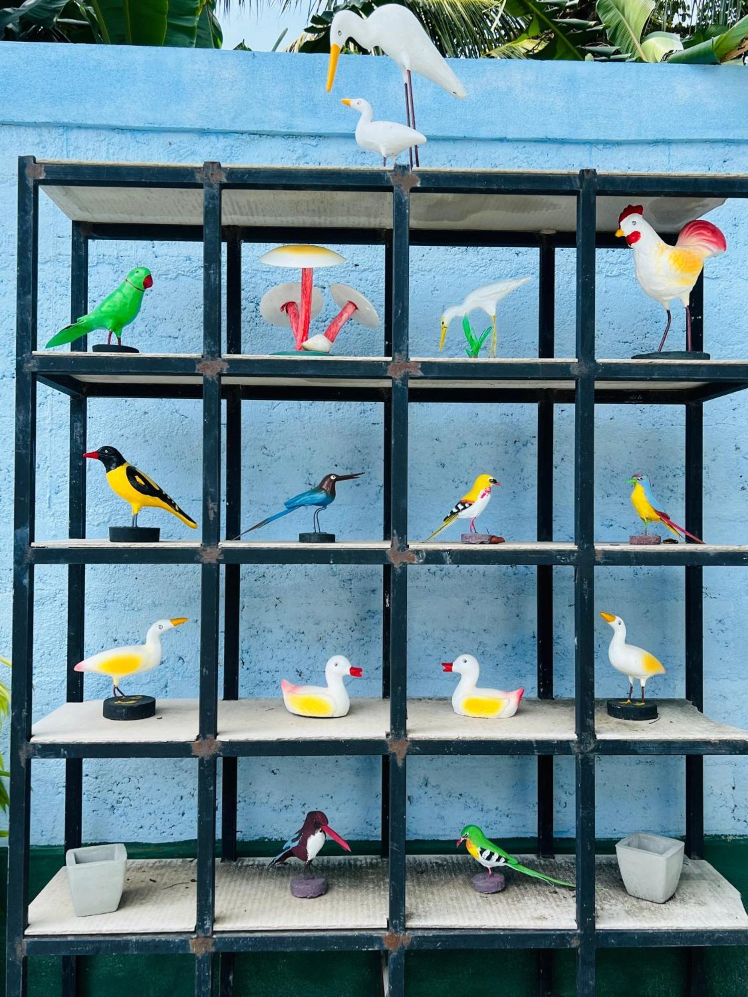 Villa Eco Green Airport カトゥナカヤ エクステリア 写真